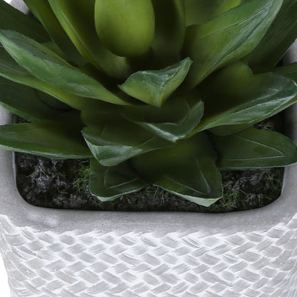 Artificial Succulent, Table Decor (Set of 2) - Green / Gray